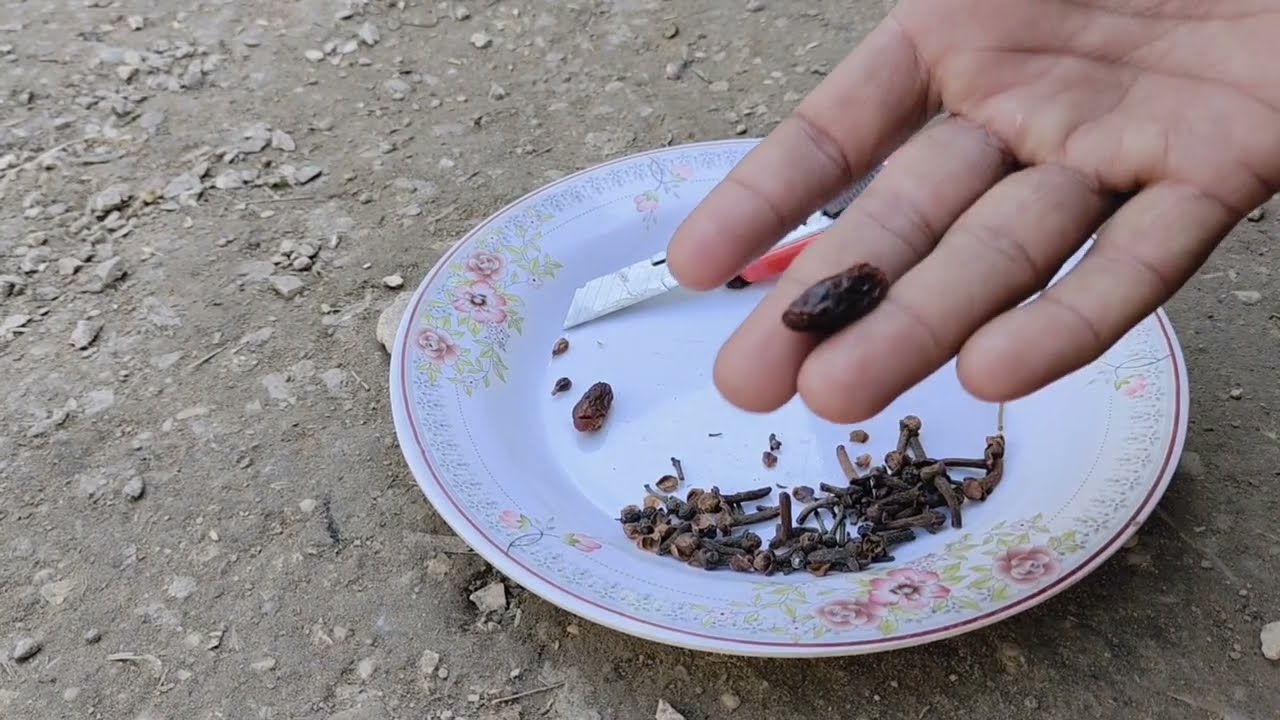 Nar kabootar Agar Masti Na karta ho Is ka ilaj kabootar ko garam karny ka Tarika
