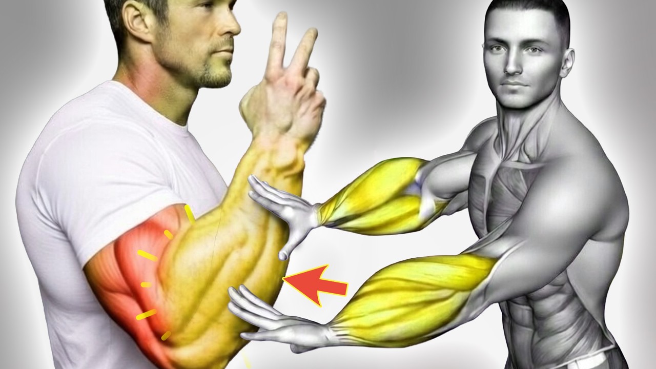 8 Effective Exercise Build Forearms Fastest