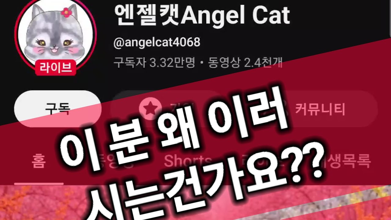 엔젤캣이 왜 이러시는거죠? 속상하게 ㅠㅠ