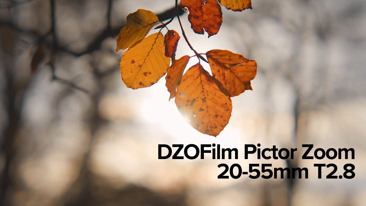 DZOFilm Pictor Zoom 20-55mm T2.8 - The Last Light of Autumn - Canon C200 Canon Cinema Raw Light