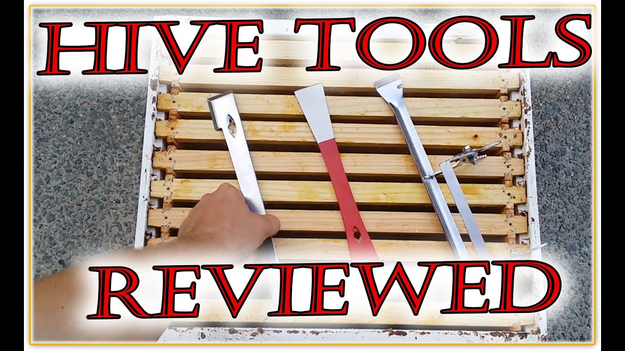 Beekeeping 101 - HIVE TOOL review Beekeepers essential equipment