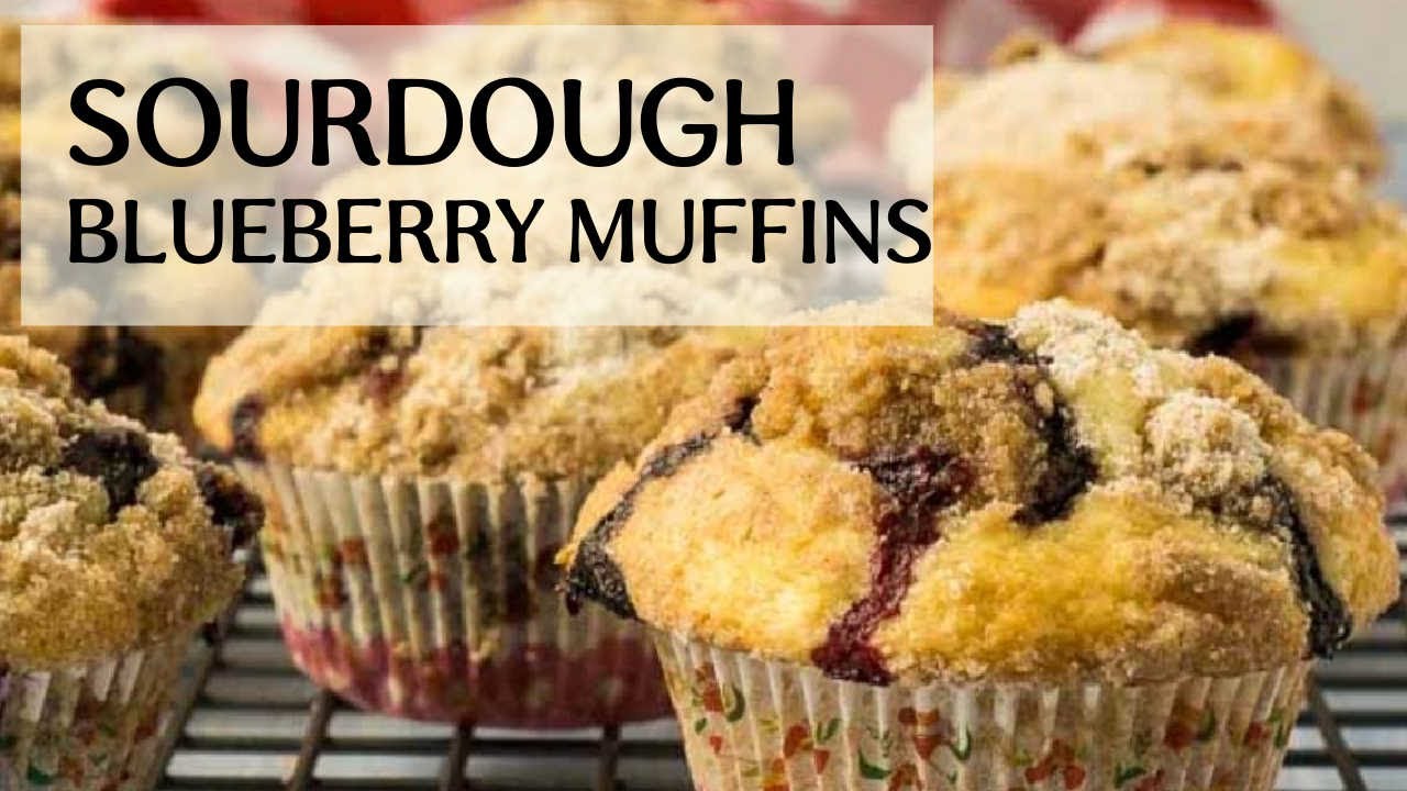 Cinnamon Sugar Sourdough Blueberry Muffins