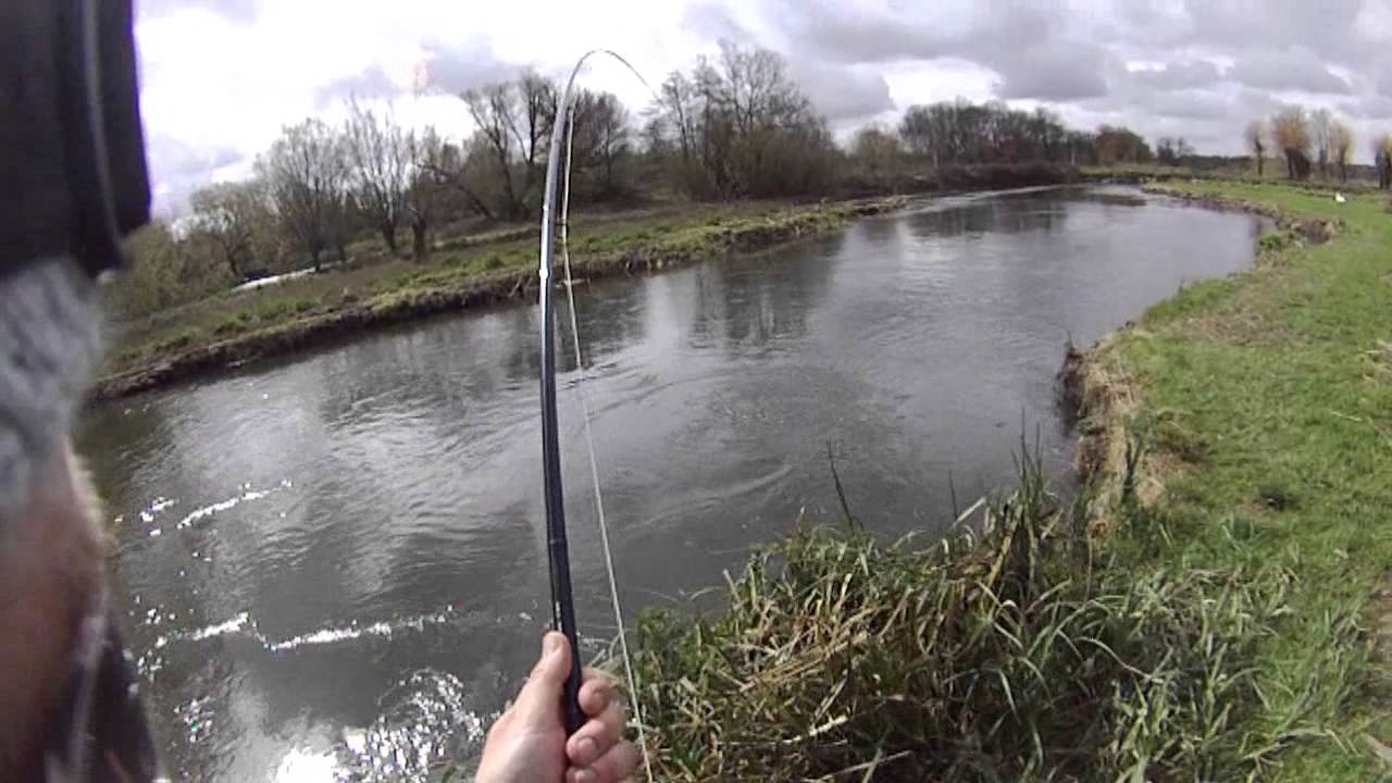 Atlantic Salmon on the fly - Classic Ibsley Pool - Hampshire Avon