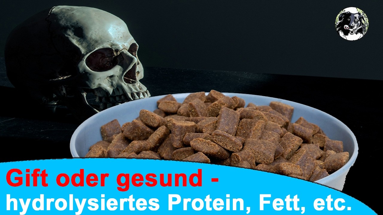 hydrolysiertes Protein - Fluch oder Segen? IBD? Darmentzündung? Hat es damit zu tun?