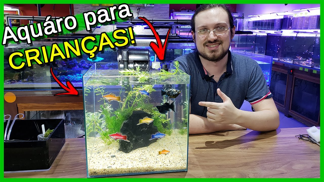 Como montar um Aquário para CRIANÇAS! - Especial dia das crianças