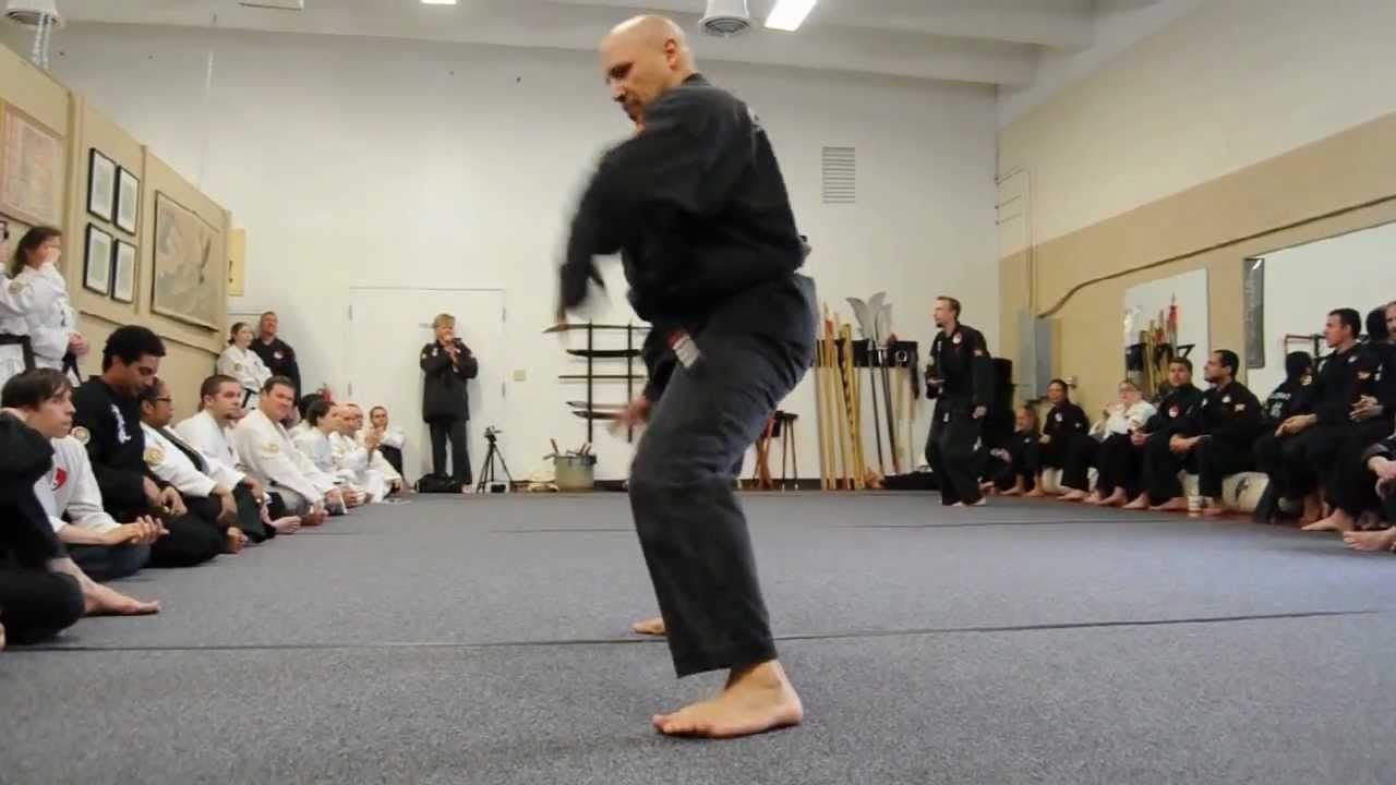 Shaolin Kung Fu Demonstration: 2nd Road of Hua Mountain Fist By Master Emir Santana