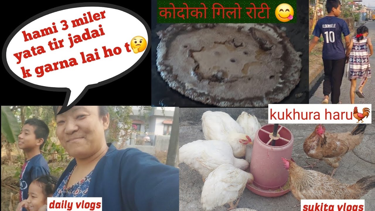हामी ३ मिलेर कता🤔 ? कोदोको रोटी पनि खाइयो😂😋@ SUKITA VLOGS