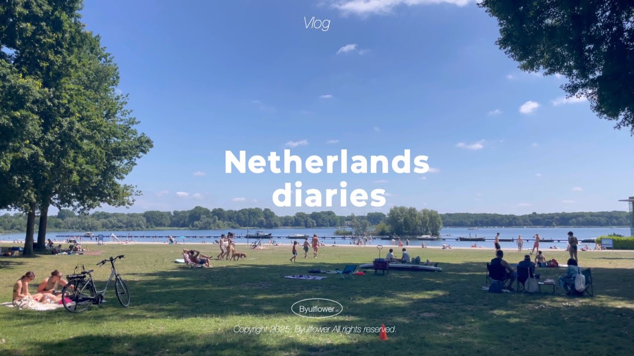 🇳🇱 네덜란드 브이로그 |  여름이 빨리 찾아온 6월 일상, 덴하그 파노라마 메스다흐, 델프트 세라믹 앤티크 축제, 브레다 나들이, 크랄링세 보스에서 여름 즐기기, 집밥 (4k)