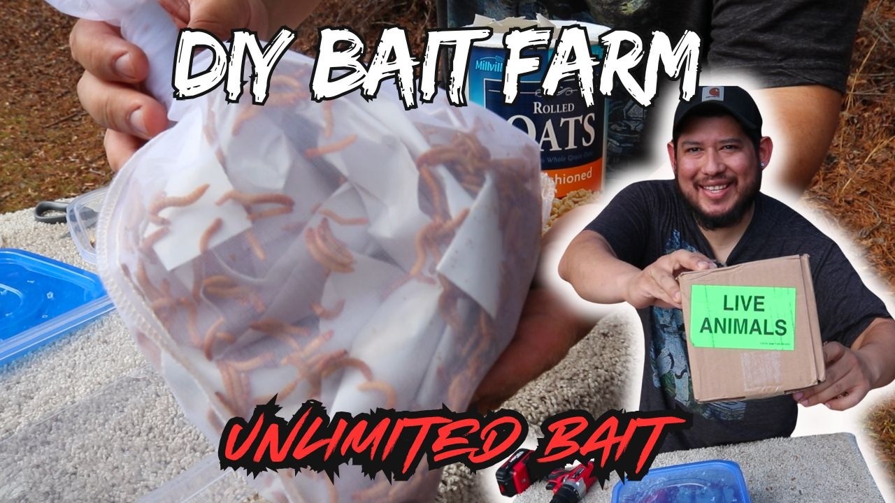 BAIT FARM DIY | HOW TO GET FREE UNLIMITED BAIT