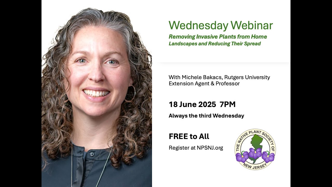 Removing Invasive Plants from Home Landscapes and Reducing Their Spread with Michele Bakacs