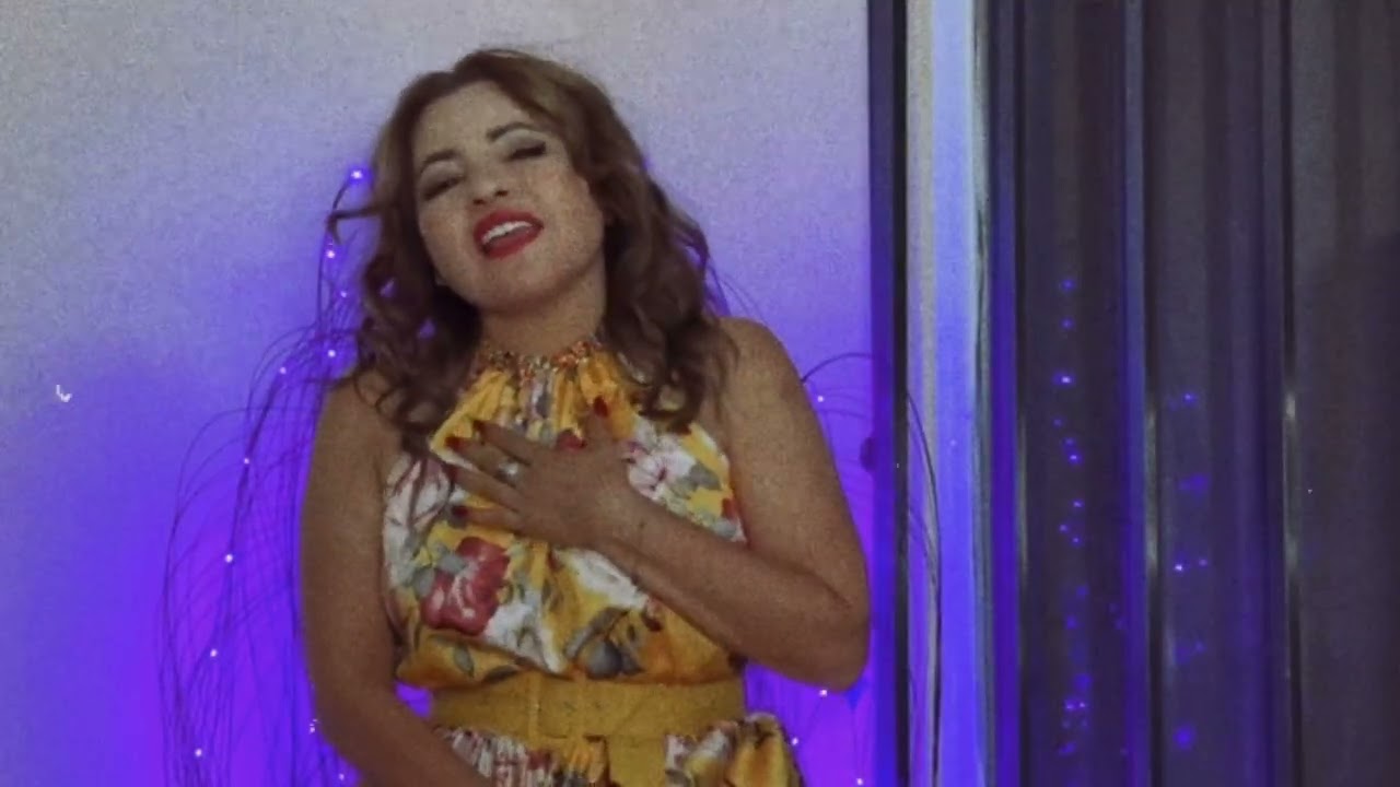 Briseyda Solis - Cariño Si Tú Te Vas (Vídeo Lyrics)