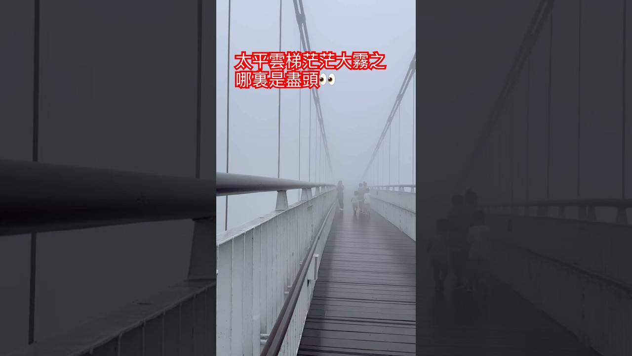 Taiwan好景/梅山鄉/太平雲梯之霧茫茫