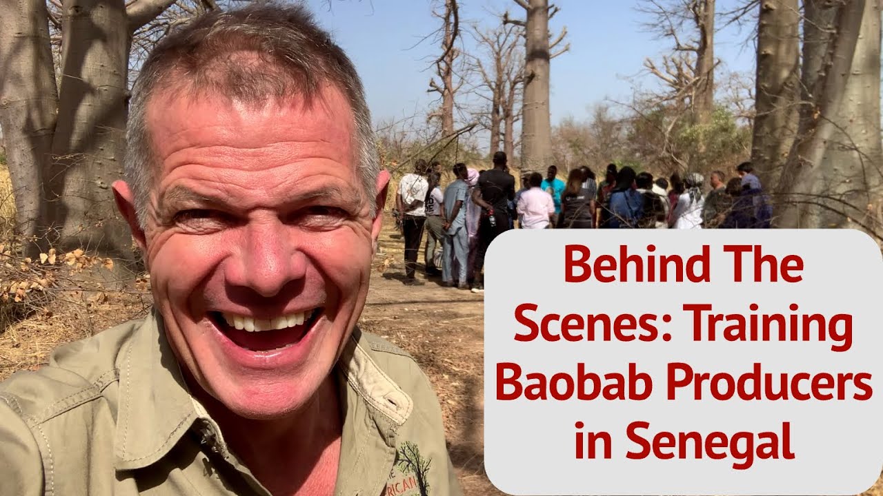 Behind the Scenes: Training Baobab Producers in Senegal