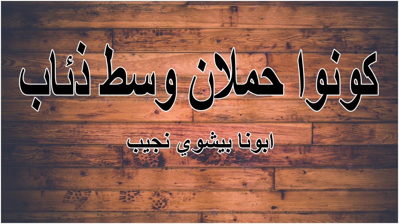 كونوا حملان وسط ذئاب...ابونا بيشوي نجيب