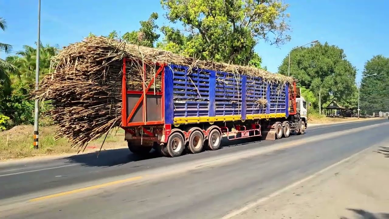 รถสิบล้อลากอ้อยขึ้นเนินนี้ถอนตอทุกคันสุดยอดจริงๆเลยเนินนี้