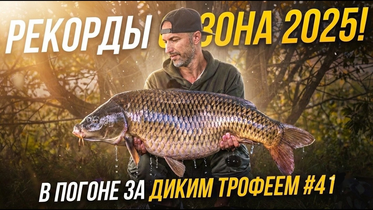 Рекорды сезона 2025 года. Ловля дикого карпа. В погоне за диким трофеем 41.