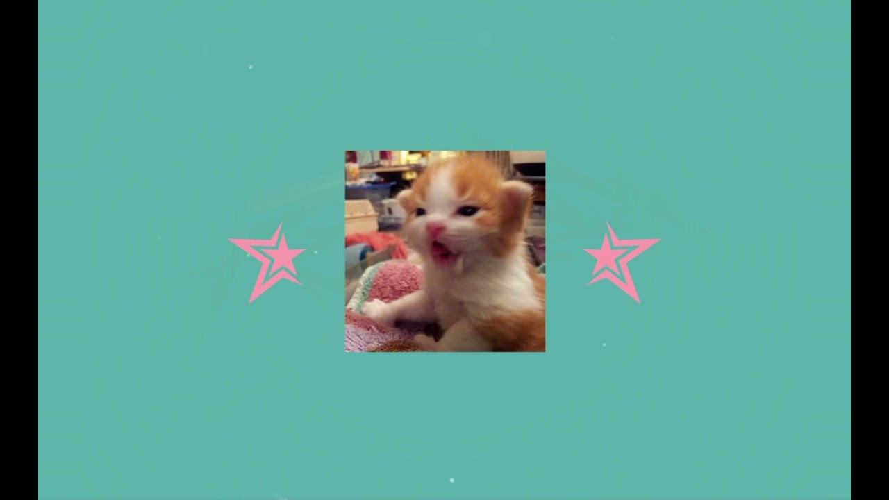 fly by midnight - casablanca (sped up) ✭