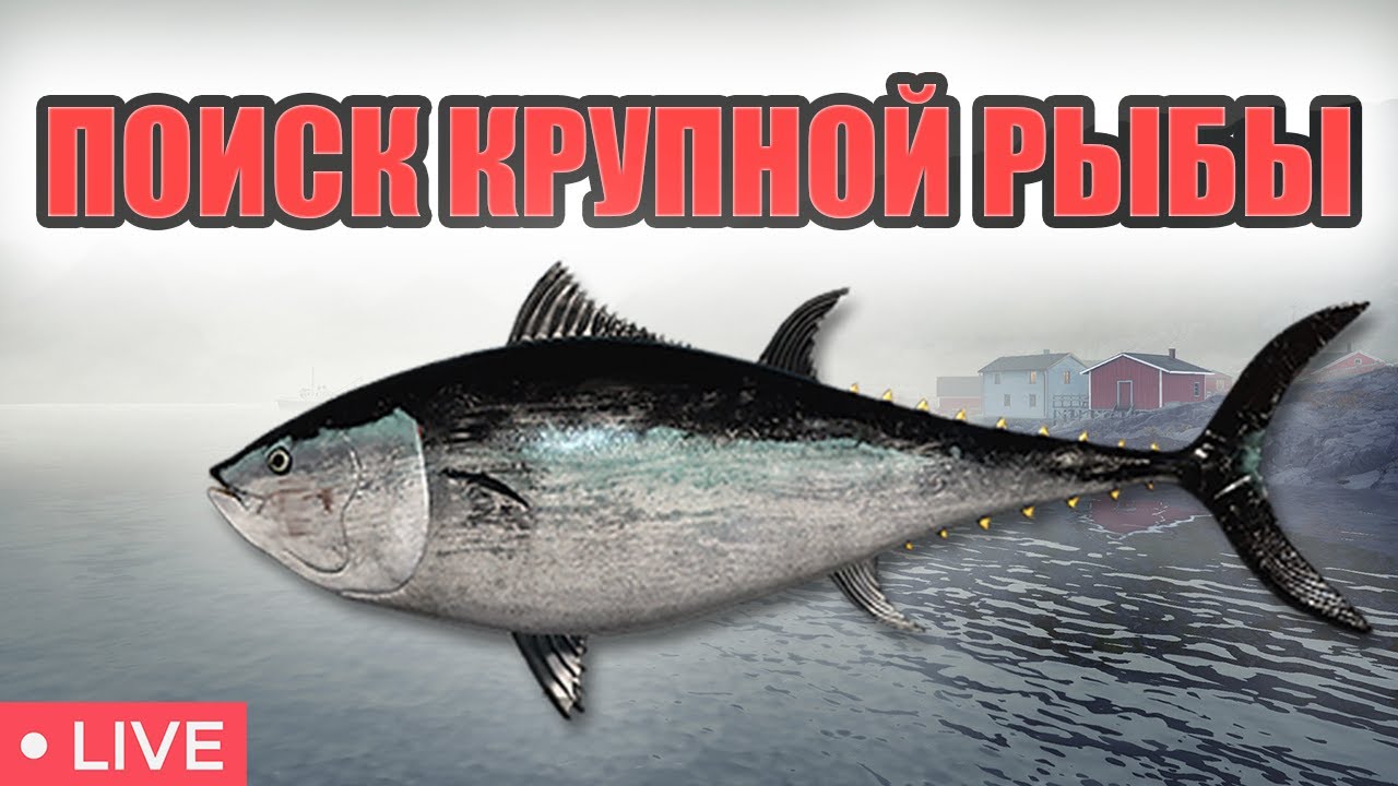 РР4 СТРИМ  • ЛОВИМ РАЗМОТЫ В ТРОЛЛИНГ НА МОРЕ •  РУССКАЯ РЫБАЛКА 4