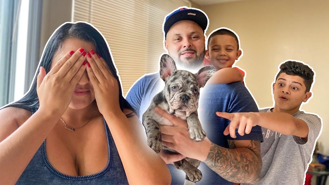 WE SURPRISED HER WITH A NEW PUPPY!