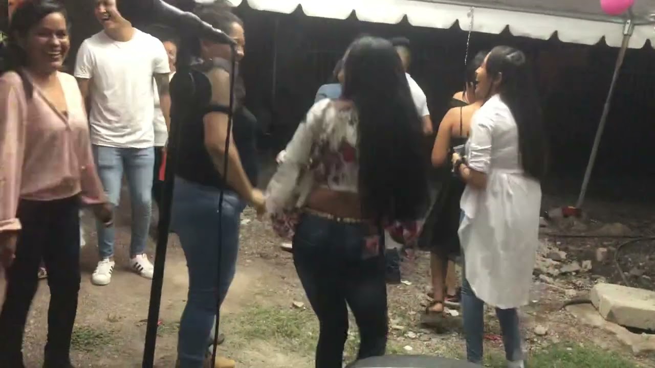 El Mono De Alambree (Mariachi Espuelas De Oro De Pénjamo Gto.)