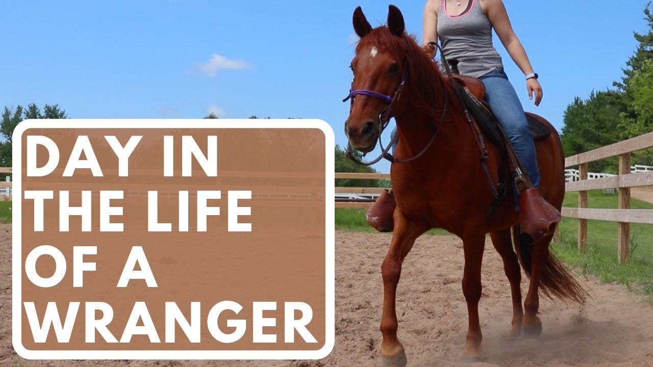 Каково это — быть жокеем | Конный лагерь SpringHill 🐴