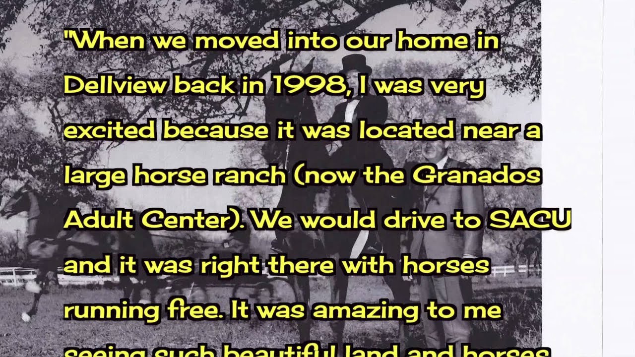 Dellview: A Journey Through Time