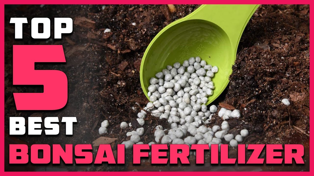 Top 5 Best Bonsai Fertilizers [Review] - Soul, Plants & Bonsai Liquid Fertilizer [2026]