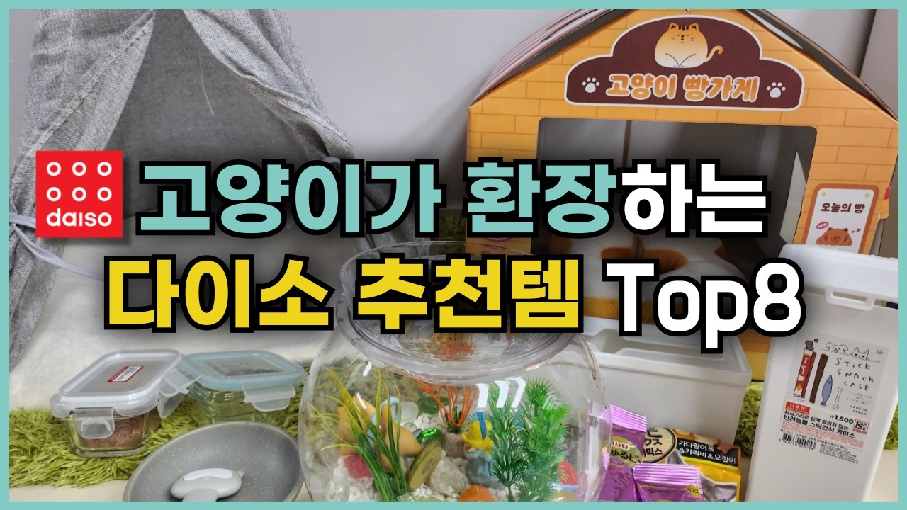 보이면 무조건 사야 할 다이소 고양이 추천템 8가지