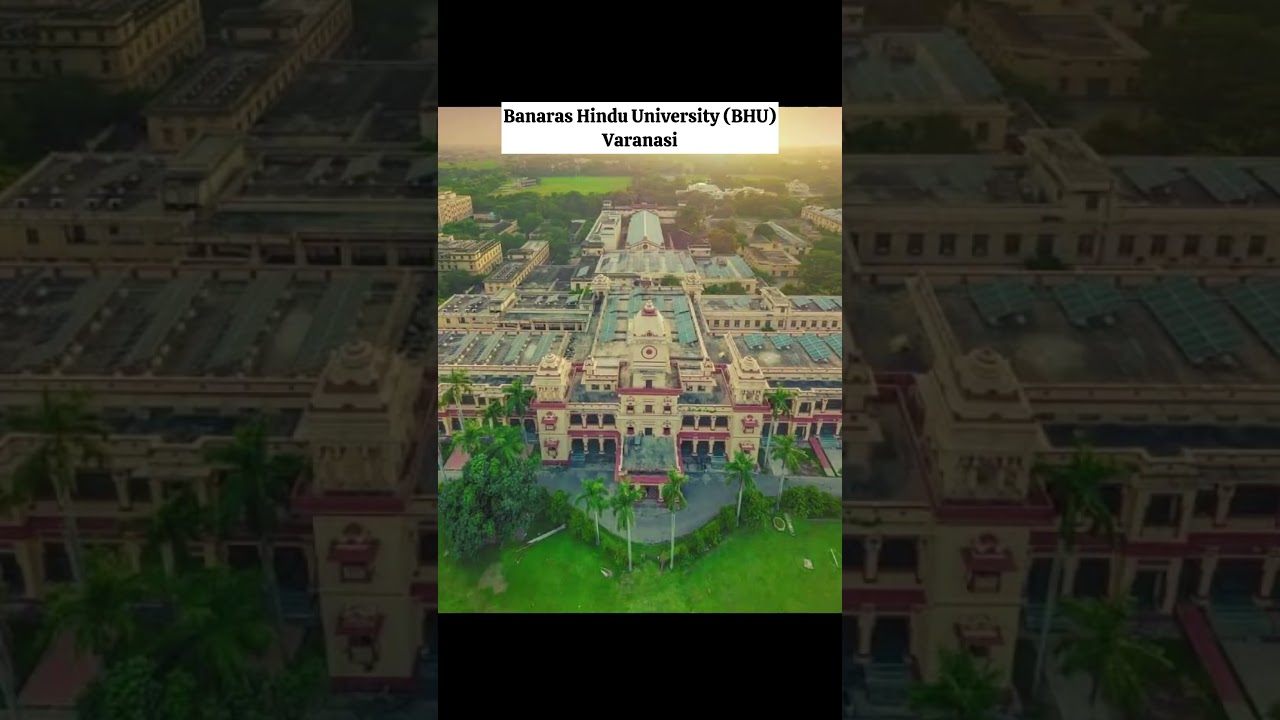 Bachelor’s in Psychology 