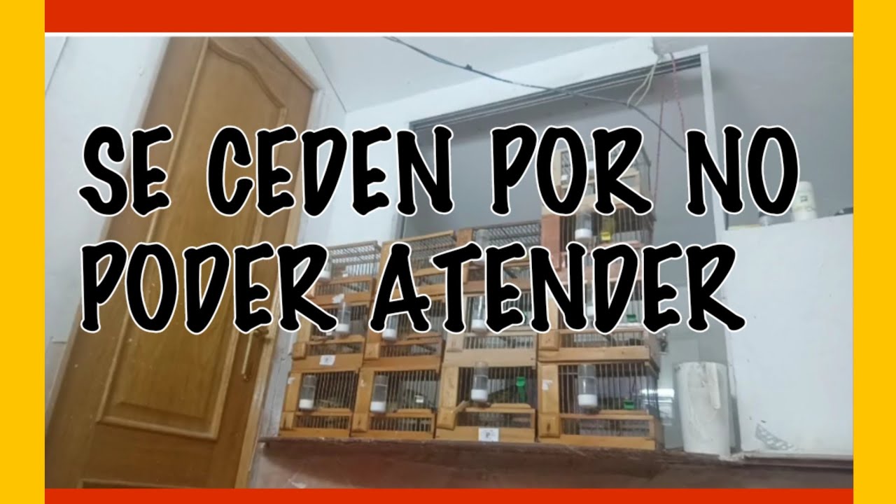 LÍNEA CELEDONIO,SE CEDEN POR NO PODER ATENDER. 678516031 solo WhatsApp 