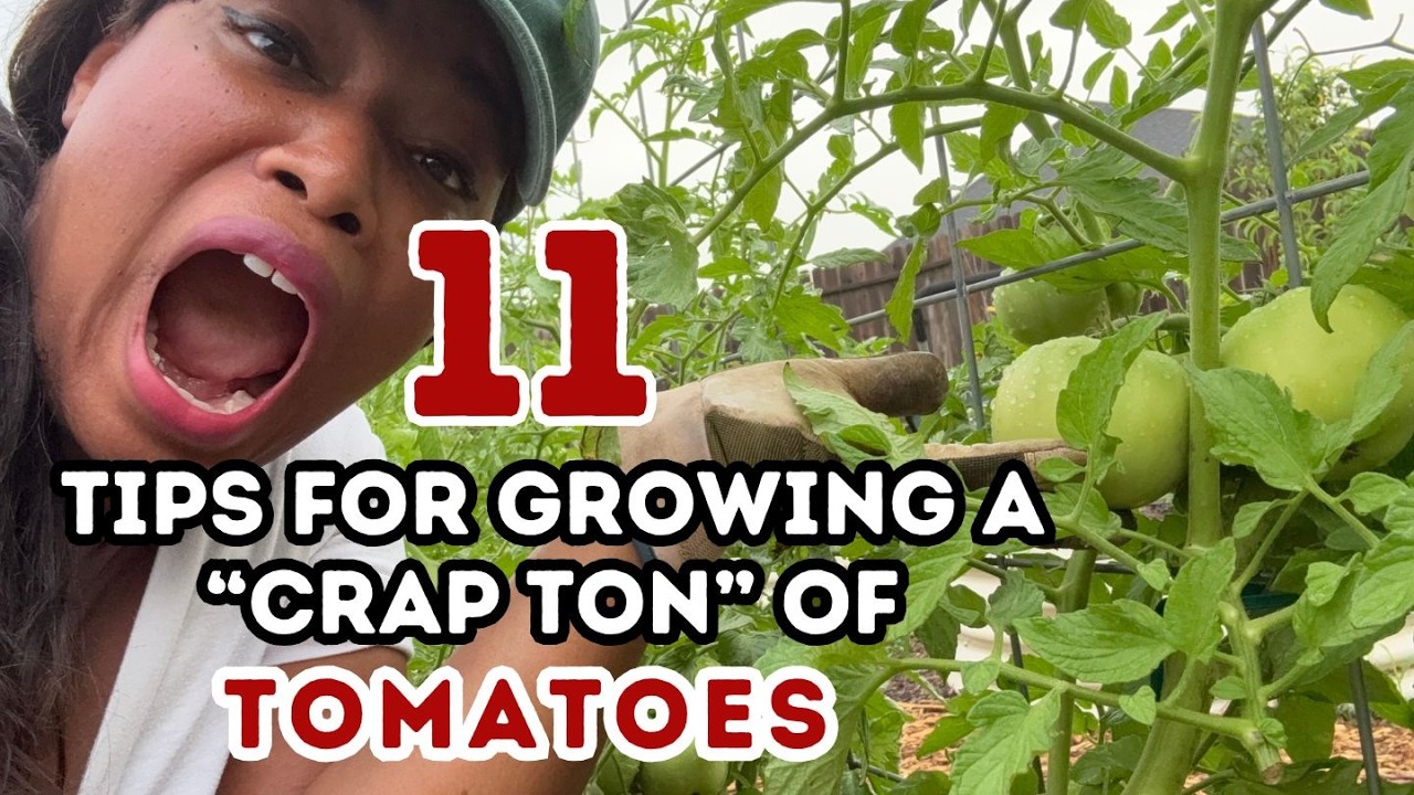 You Planted Tomatoes…Now What?