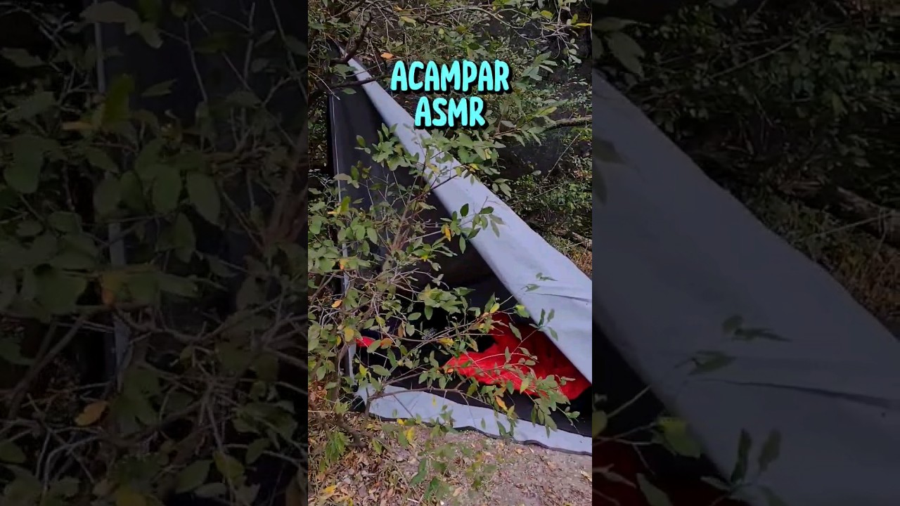 🏕️Acampe libre de invierno #asmr #acampar #outdoors