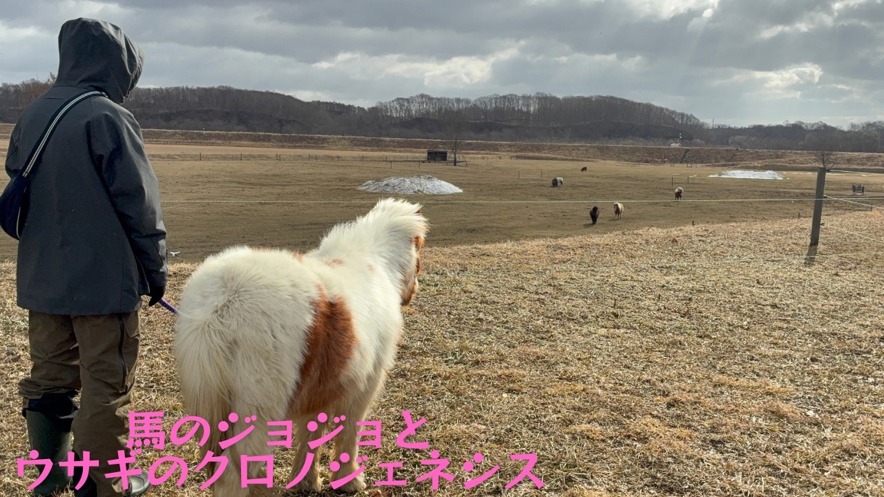 風が強くても草は食べたいジョジョ