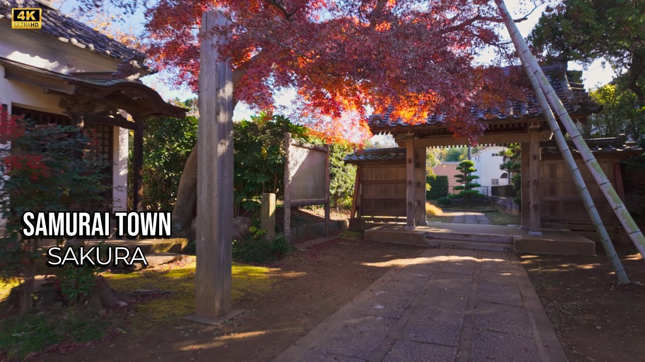 Sakura Japan Walk: Countryside Roads and Samurai-Era Homes | 4K