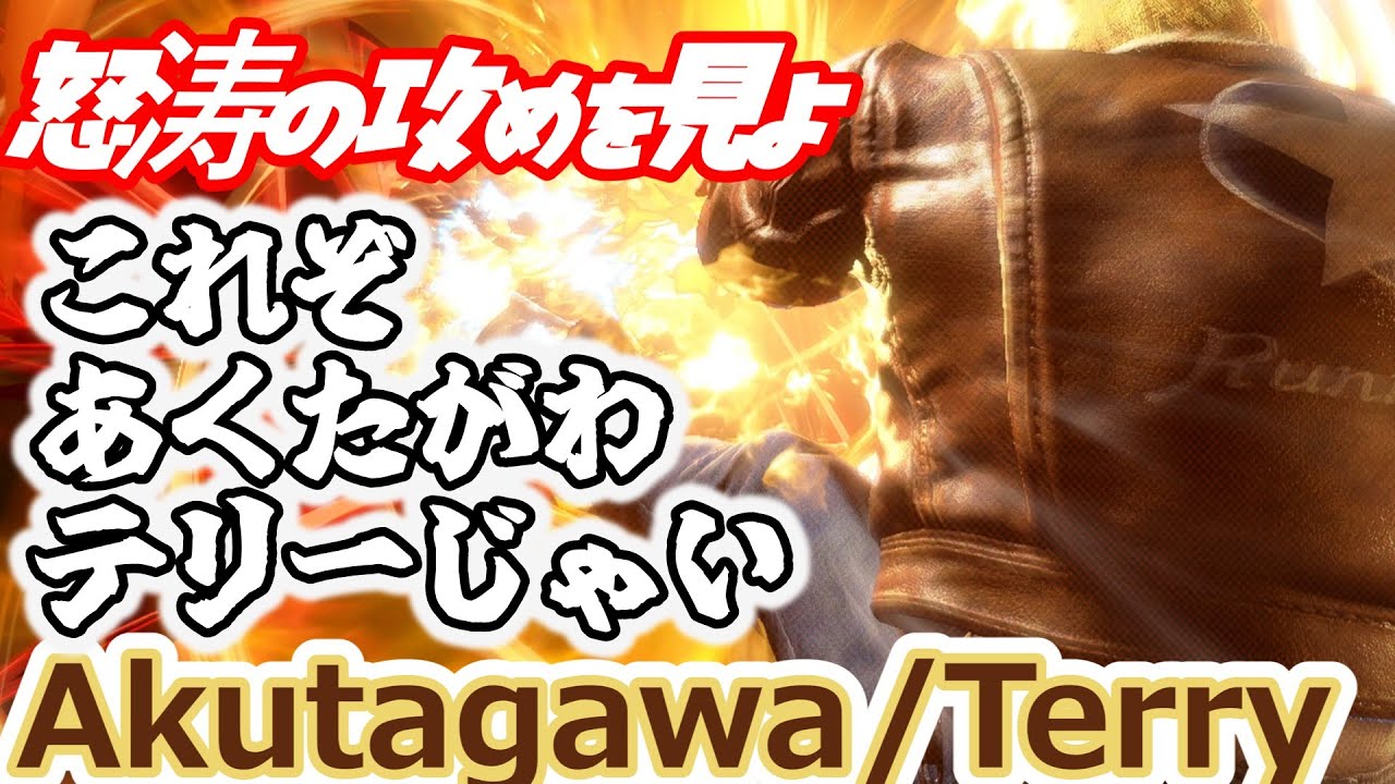 【スト6】あくたがわテリーによる怒涛の攻め【Akutagawa:Terry】