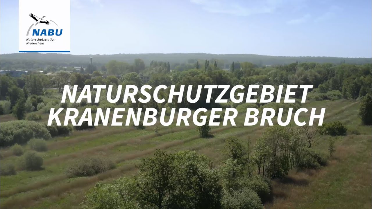 Naturschutzgebiet Kranenburger Bruch