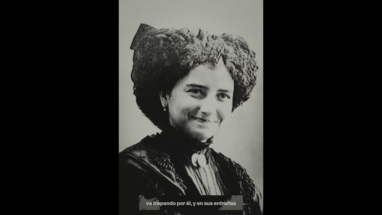 Antonio Machado "A un olmo seco"