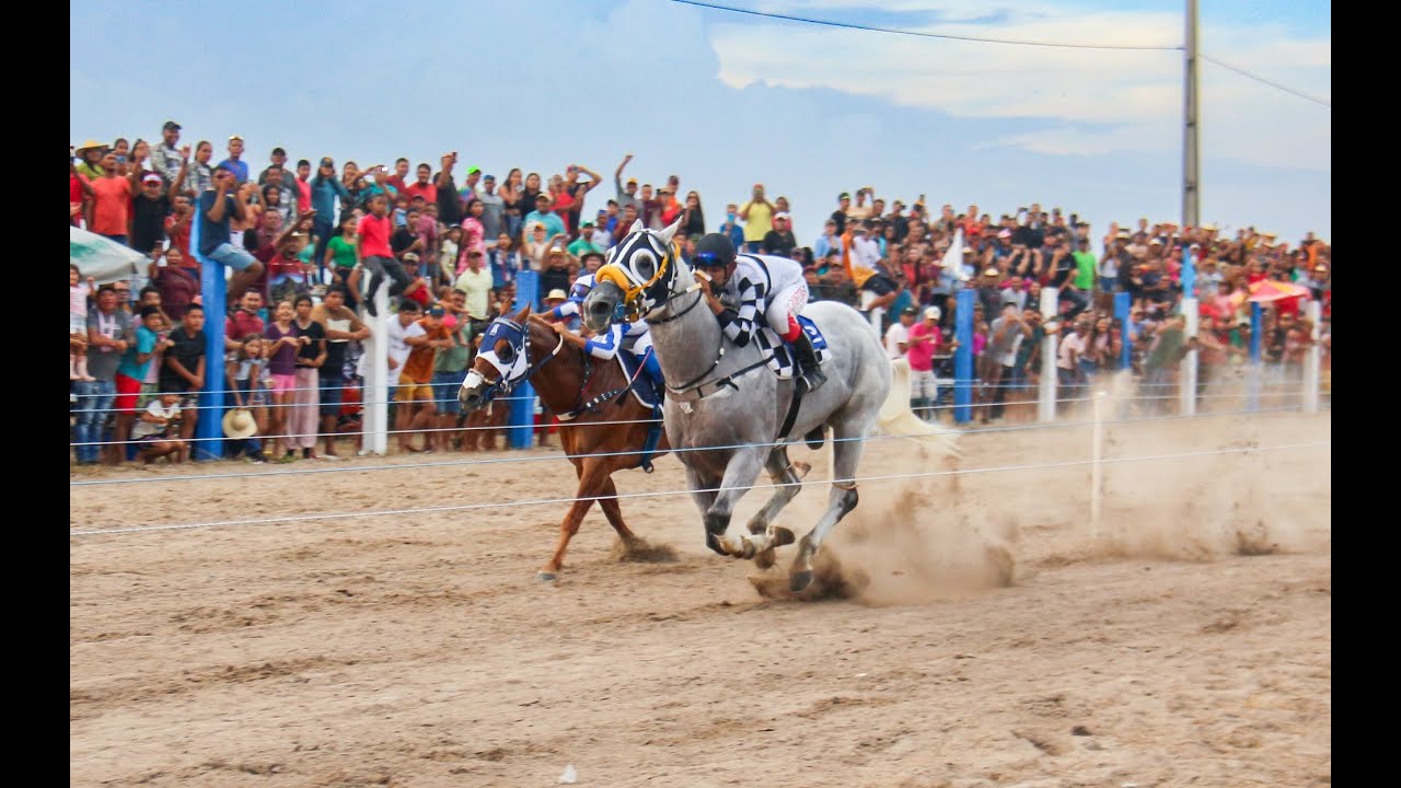 CORRIDA DE CAVALOS - XXXII FESTEJO DE BONFIM 2024 - PURO SANGUE PART. 1