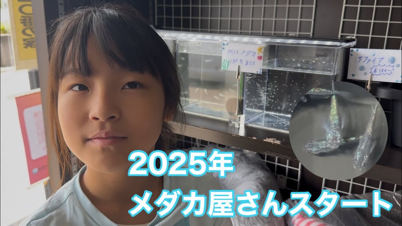 2025年メダカ屋さんスタート