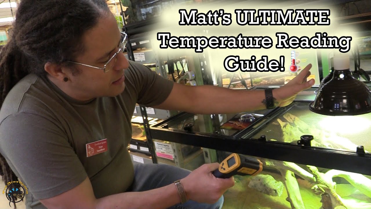 How to Properly Measure the Temperature of Your Pet Reptile's Tank - Proper Thermometer Placement! 🌡