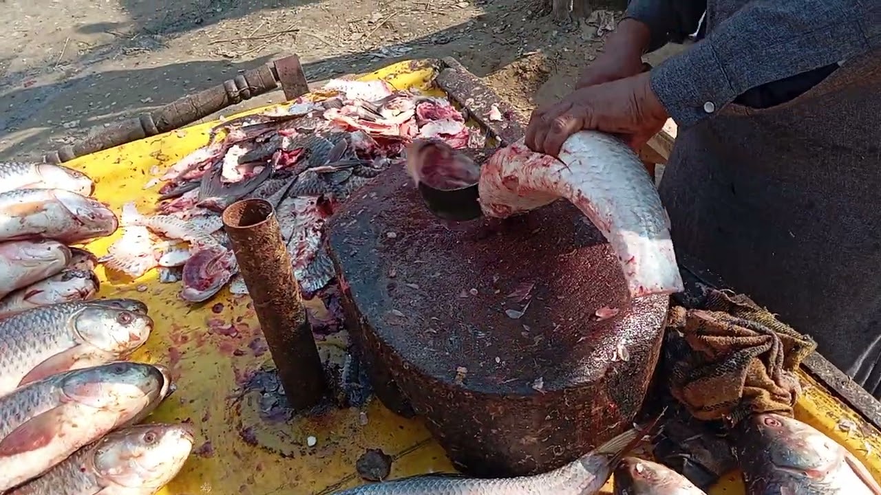 The Most Beautiful and Eye-catching Rohu Fish Cutting Presentations! 