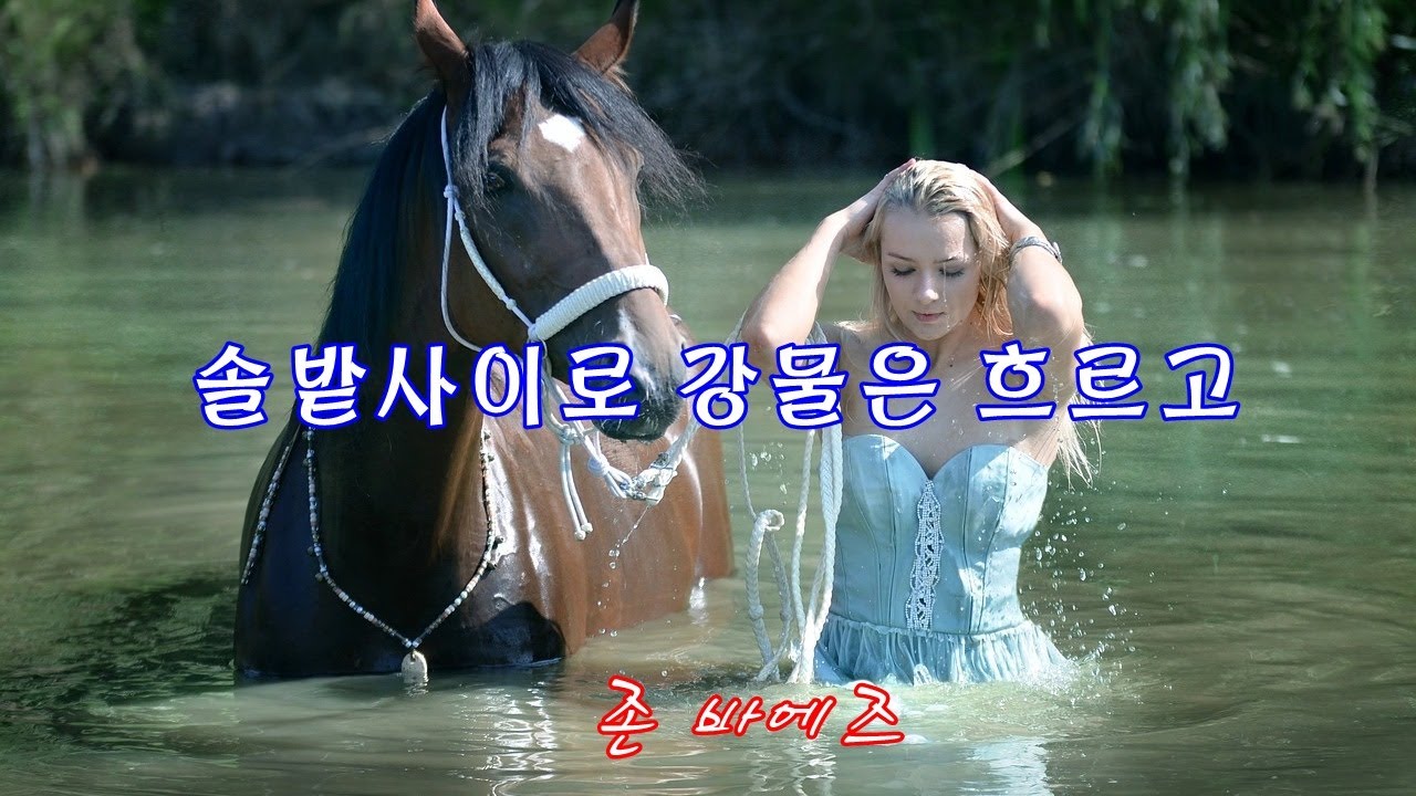솔밭사이로 강물은 흐르고 - 존바에즈 /  The River In The Pines - Joan Baez