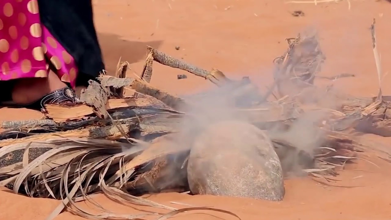 .. الدانه.. من أشعار راشد شرار ألحان و غناء خالد الزعابي