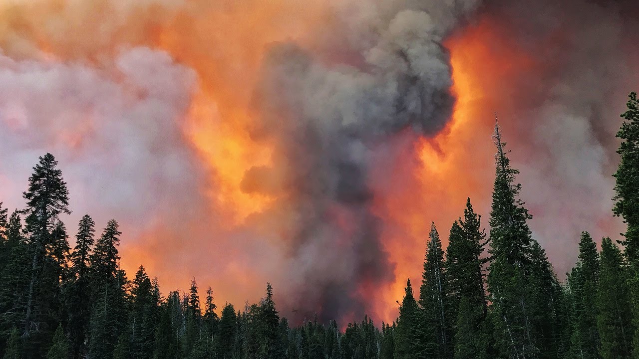 Watch time-lapse video of the billowing Creek fire smoke