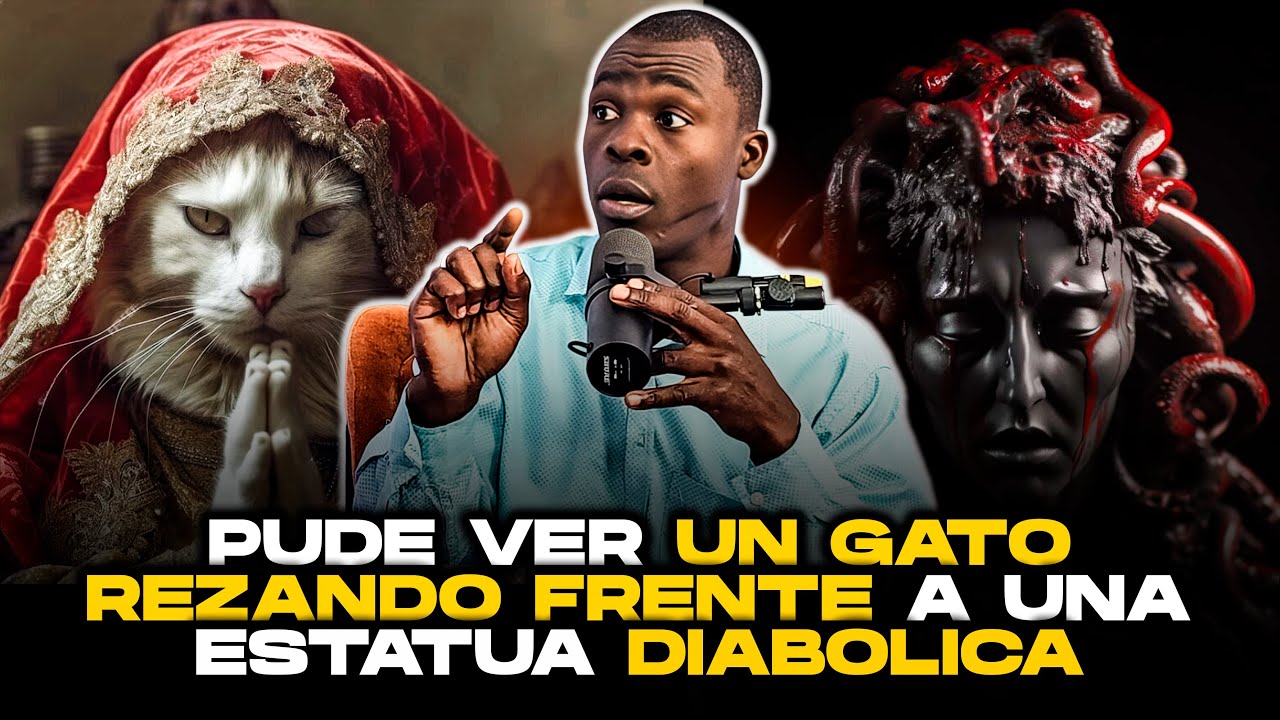 😨UN GATO LE REZÓ A UNA ESTATUA Y ESTO FUE LO QUE OCURRIÓ!!