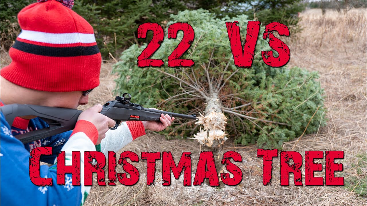 22 vs Christmas Tree 🎄 How Many Shots Will it Take? | Gould Brothers