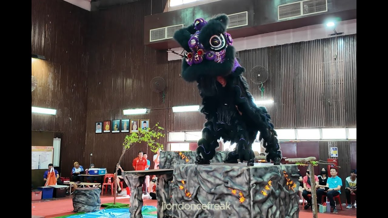 冠军 Champion - 雪州加影忠威龙狮团Zhong Wai Dragon & Lion Dance Group - 2024 Serdang Cup