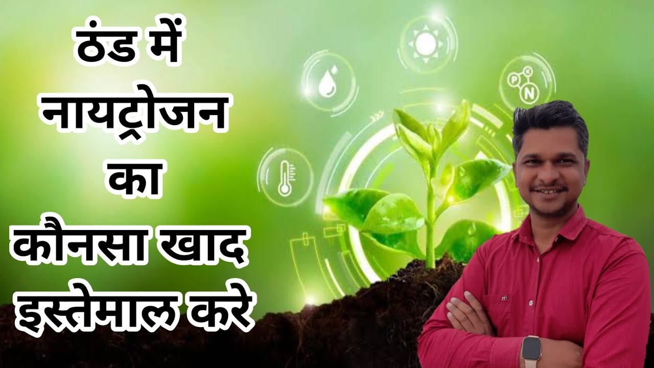 ठंड में नायट्रोजन का कौनसा खाद इस्तेमाल करे । winter crop 🥶