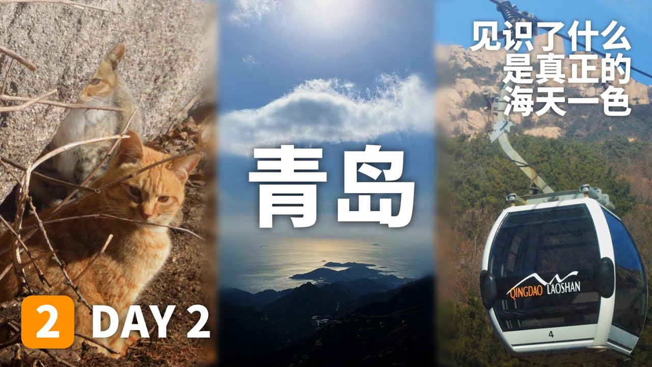 Laoshan Giant Peak Tour Line+seafood buffet 山东青岛第二天崂山巨峰游览见识了什么是真正的山海天融合无法用语言形容的震撼！人有意，景无情，珍惜每一次初见瞬间！