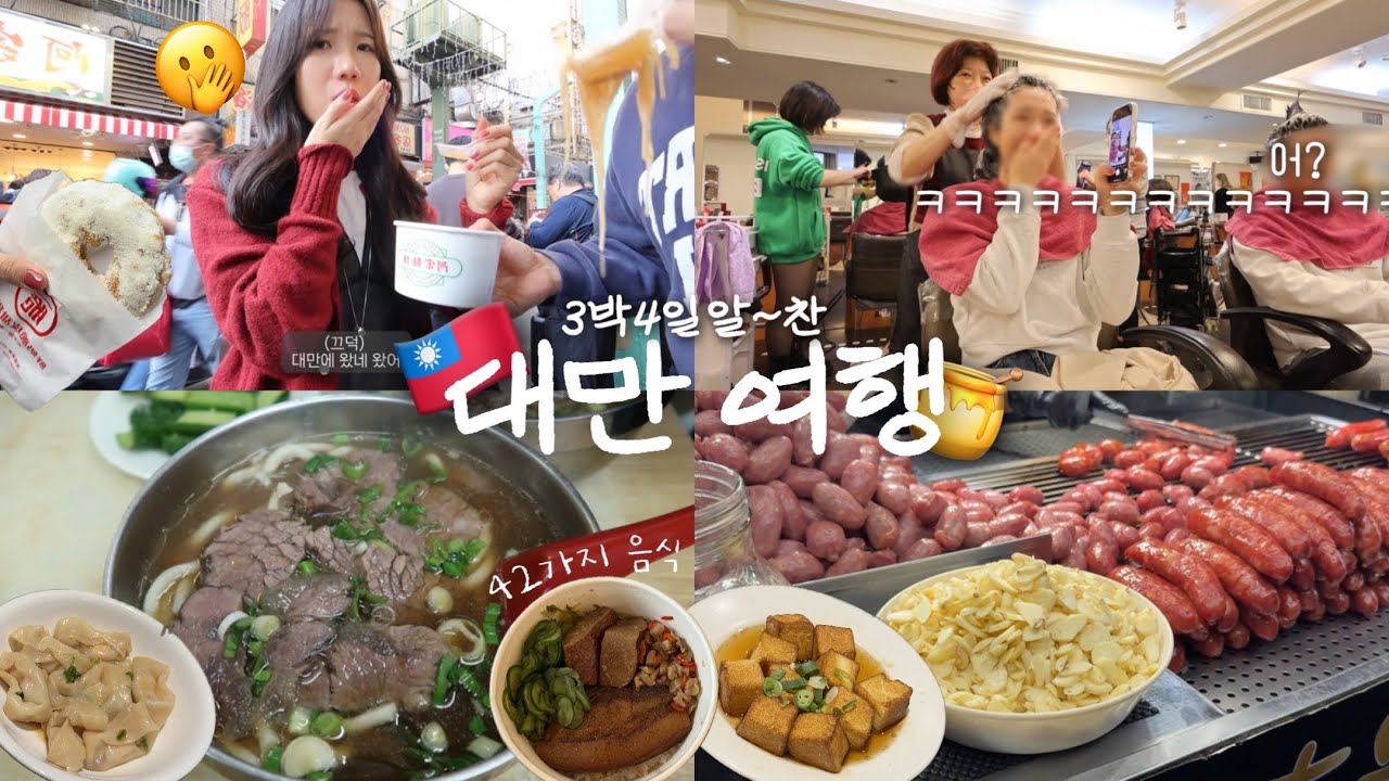 지가이드🧑🏻‍🏫 : 그냥 저만 따라오세요! 3박4일 파워J의 알찬 대만여행 브이로그🇹🇼 | 한국인 국룰 코스부터 또또또간집까지 더보기란 정보 몽땅 공유🍯 | 4일간 42가지 음식!